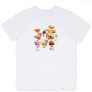 Druthers Women's Organic Cotton Seb Gorey Watercolor Shrooms T-Shirt - M